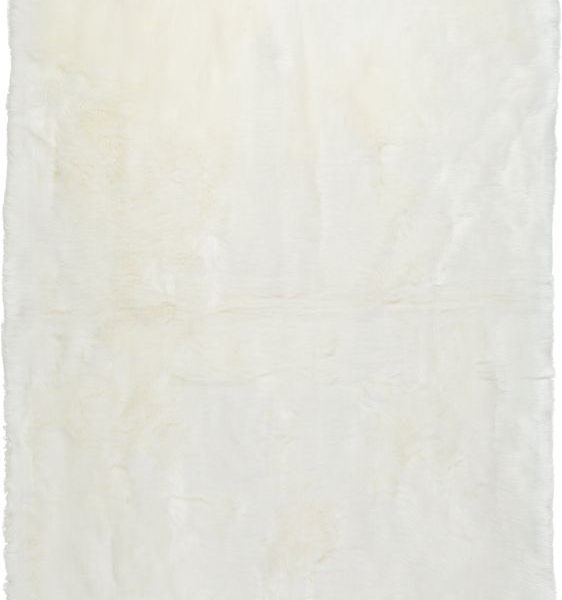 Import placeholder for 6219